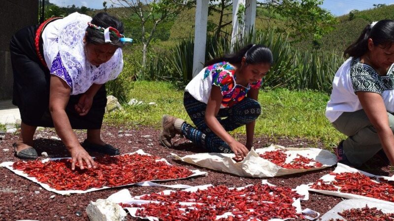 La ONU pide investigar la muerte de tres indígenas en enfrentamientos con la policía en México