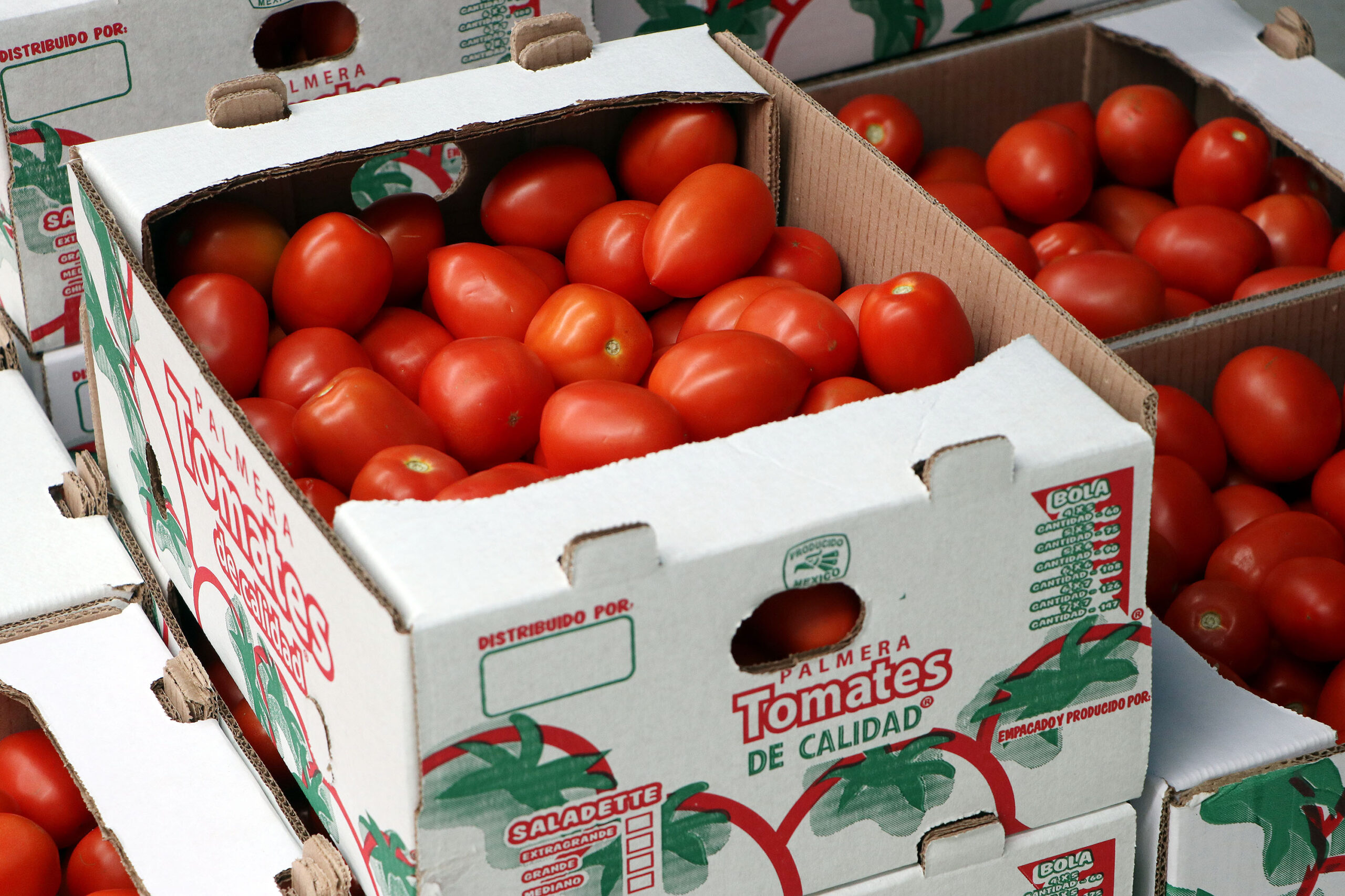 Inicia ciclo de exportación de tomate de la Sierra Norte a supermercados en Oklahoma Estados Unidos