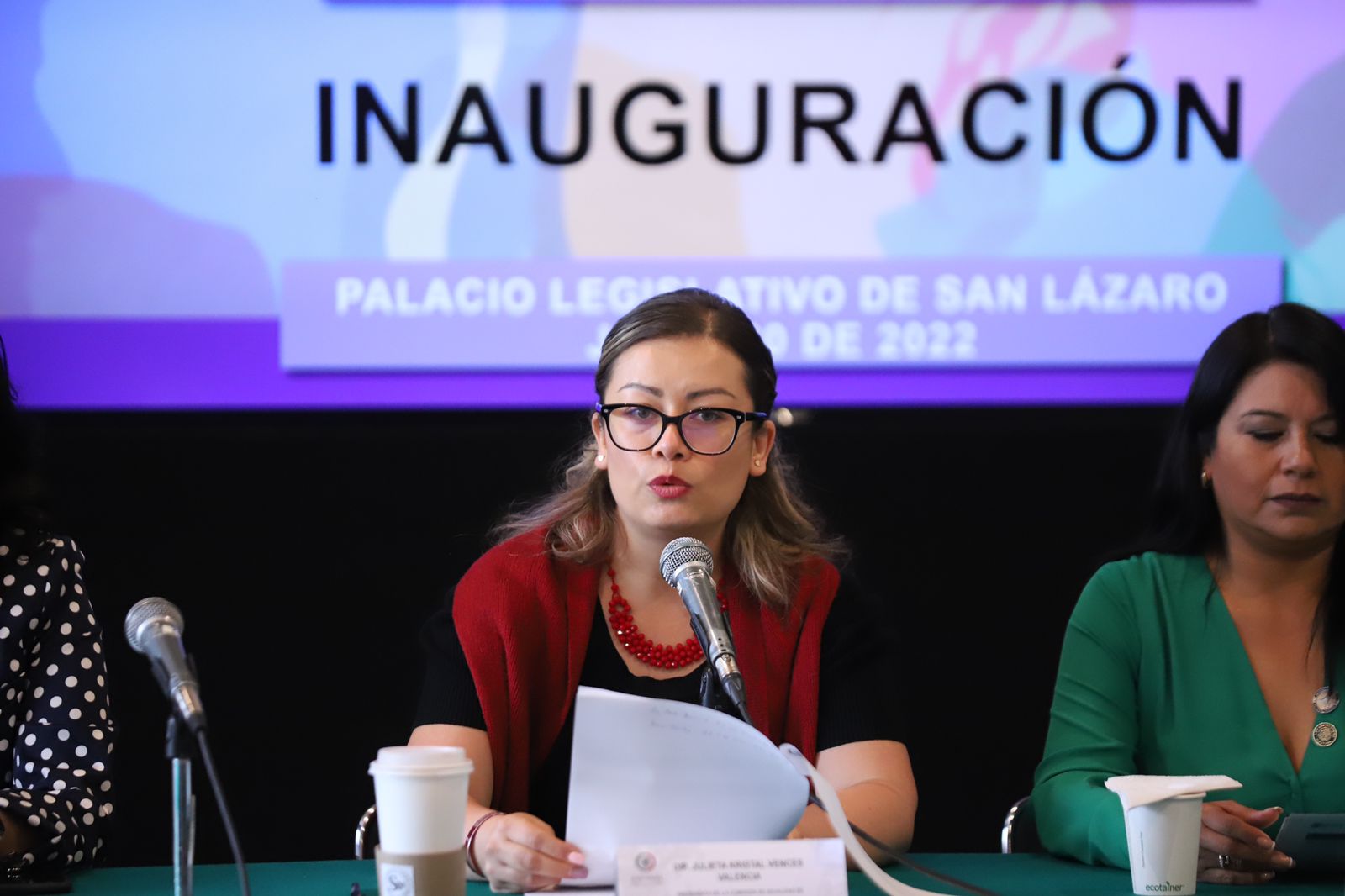 Julieta Vences busca que Congreso de la Unión sancione la Violencia Vicaria; aquella que se ejerce en contra de las y los hijos para lastimar a la pareja