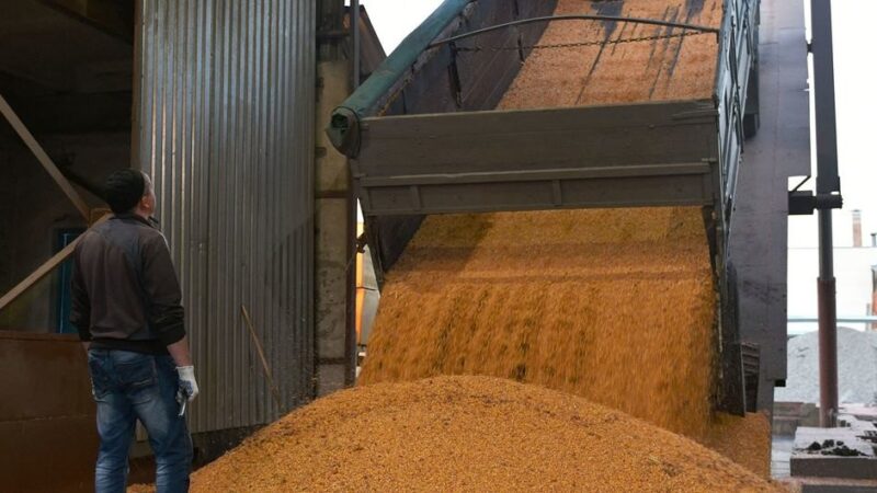 Precio de los alimentos bajó ligeramente en mayo estima la FAO