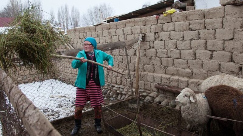 De mantenerse el actual ritmo de progreso en el mundo, costará unos tres siglos alcanzar la igualdad de género: ONU MUJERES