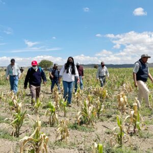 Destina Puebla 5 MDP para indemnizar a productores afectados por lluvias