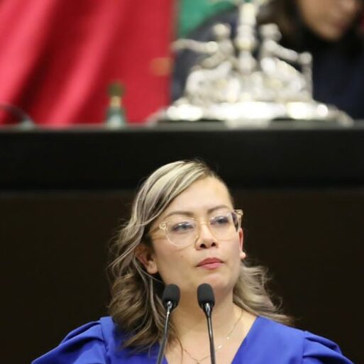 diputada federal de Morena Julieta Vences Valencia