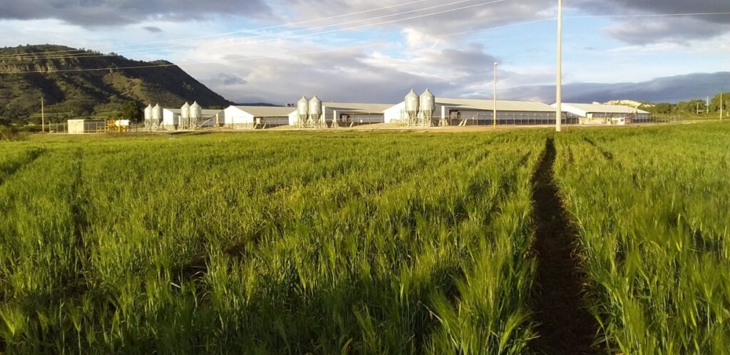 Programa Agricultura Sustentable GRANJAS-CARROLL