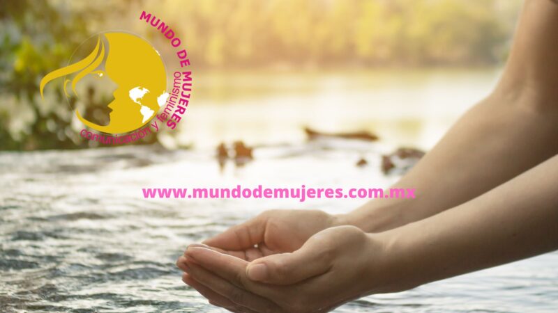 Puebla pierde cada año recursos hídricos vitales, advierte el Colegio de Ingenieros Civiles