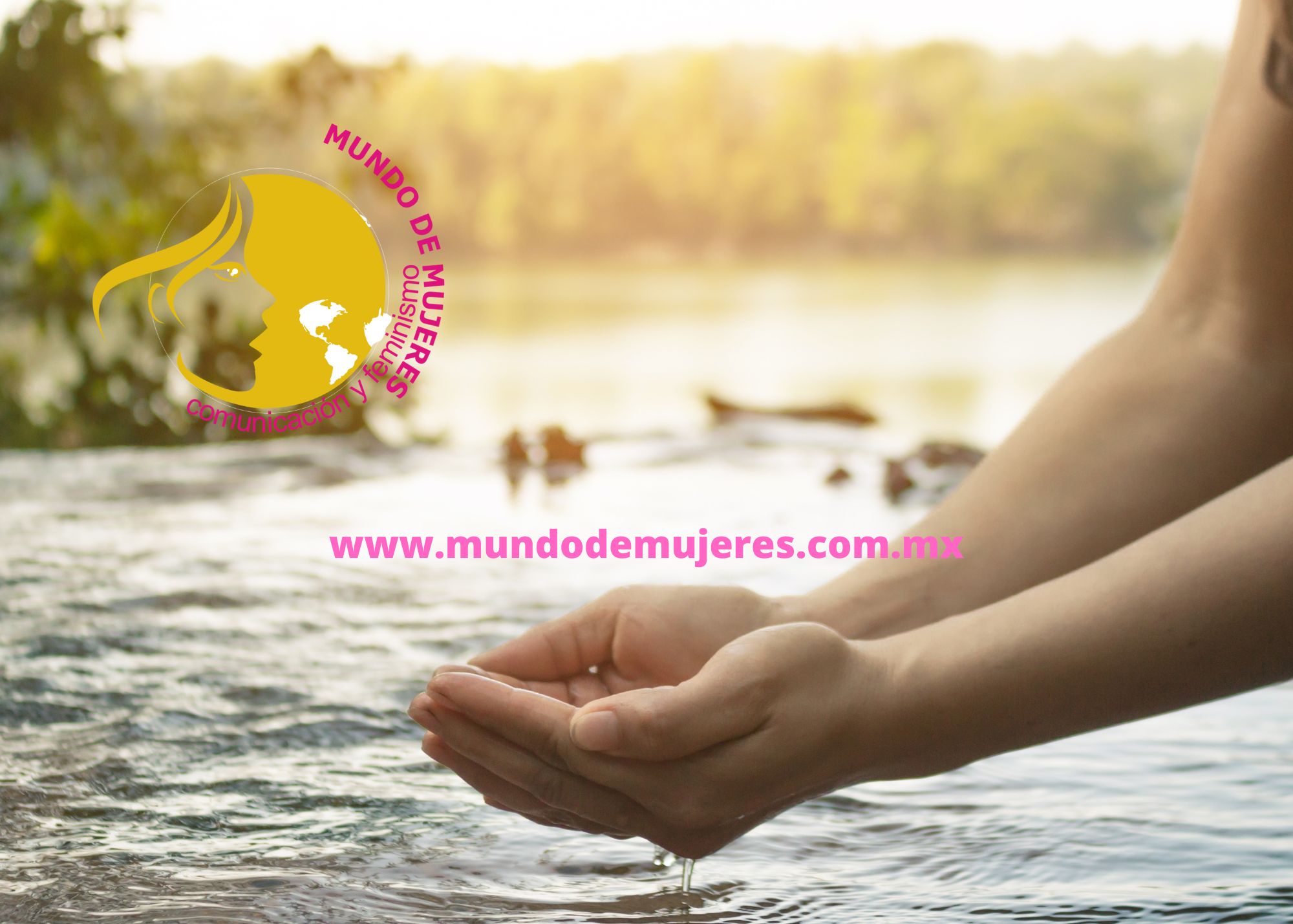 Puebla pierde cada año recursos hídricos vitales, advierte el Colegio de Ingenieros Civiles