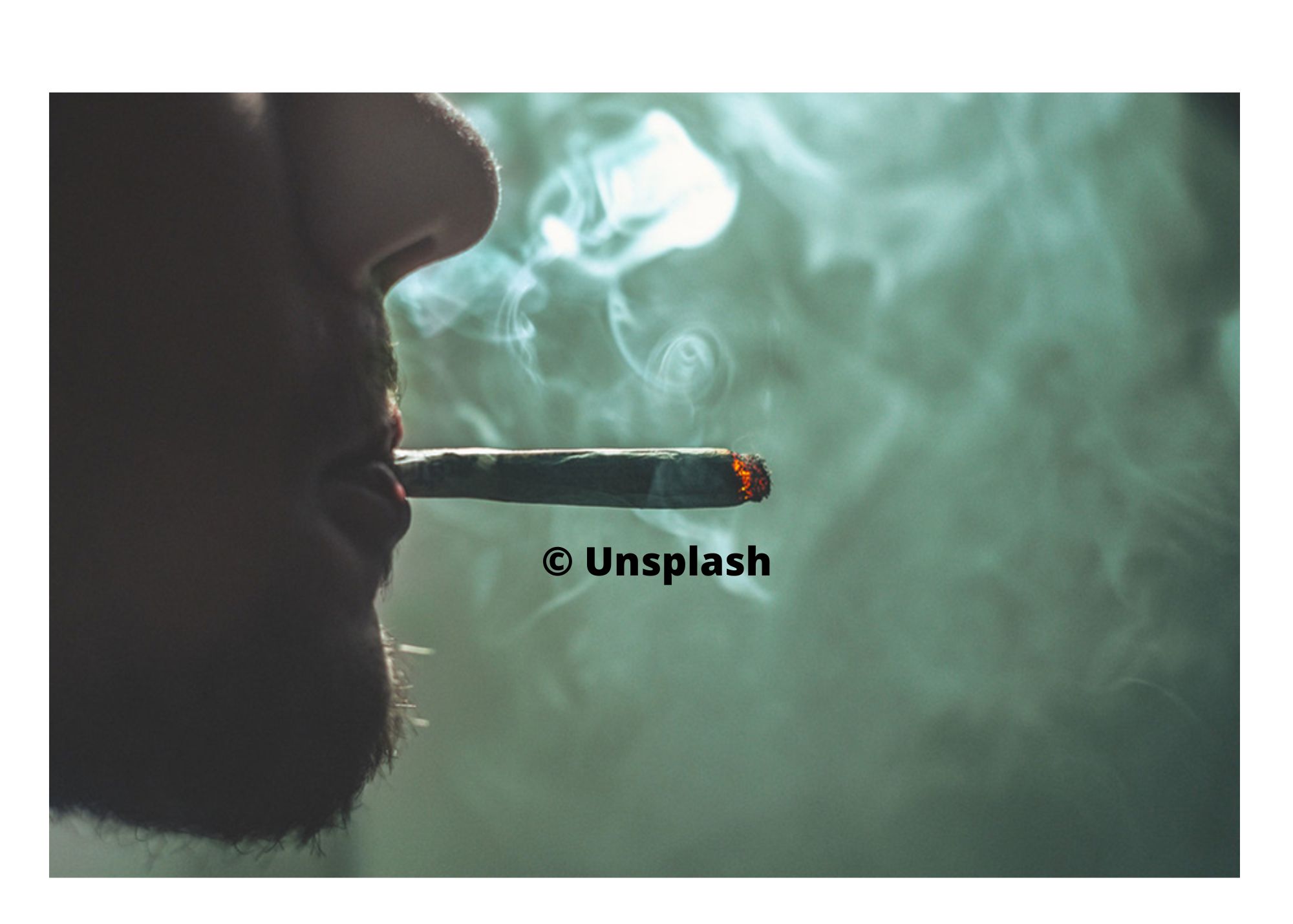 Legalización de la marihuana “parece” aumentar el consumo, pero no ha terminado con los mercados ilegales