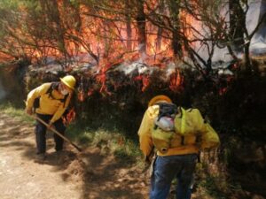Han extinguido 282 incendios forestales en más de cuatro meses: Medio Ambiente Puebla