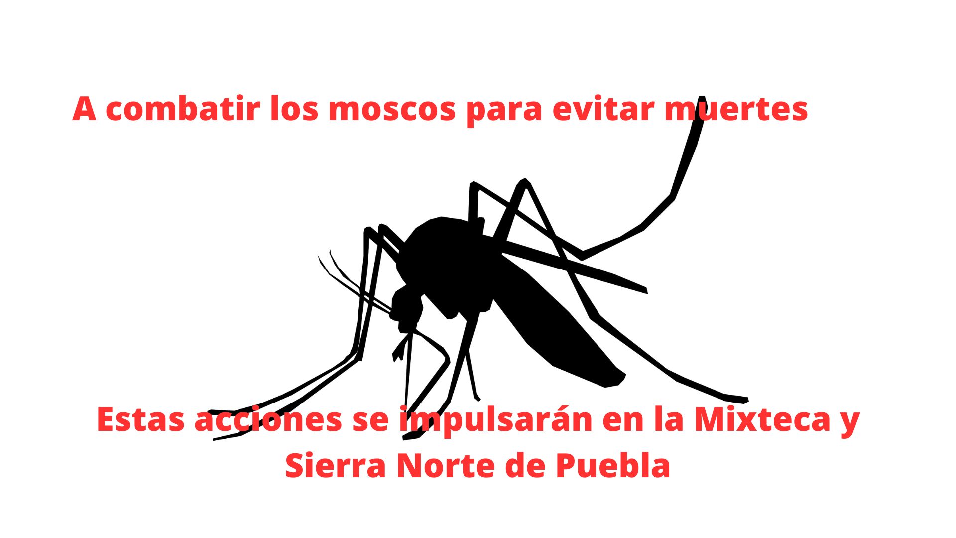 Acciones para combatir el Dengue en Puebla