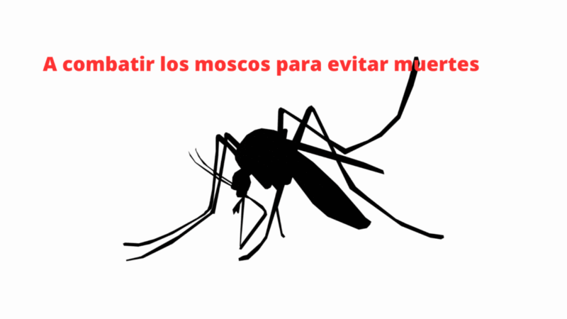 Puebla reporta casos de dengue en 75 municipios