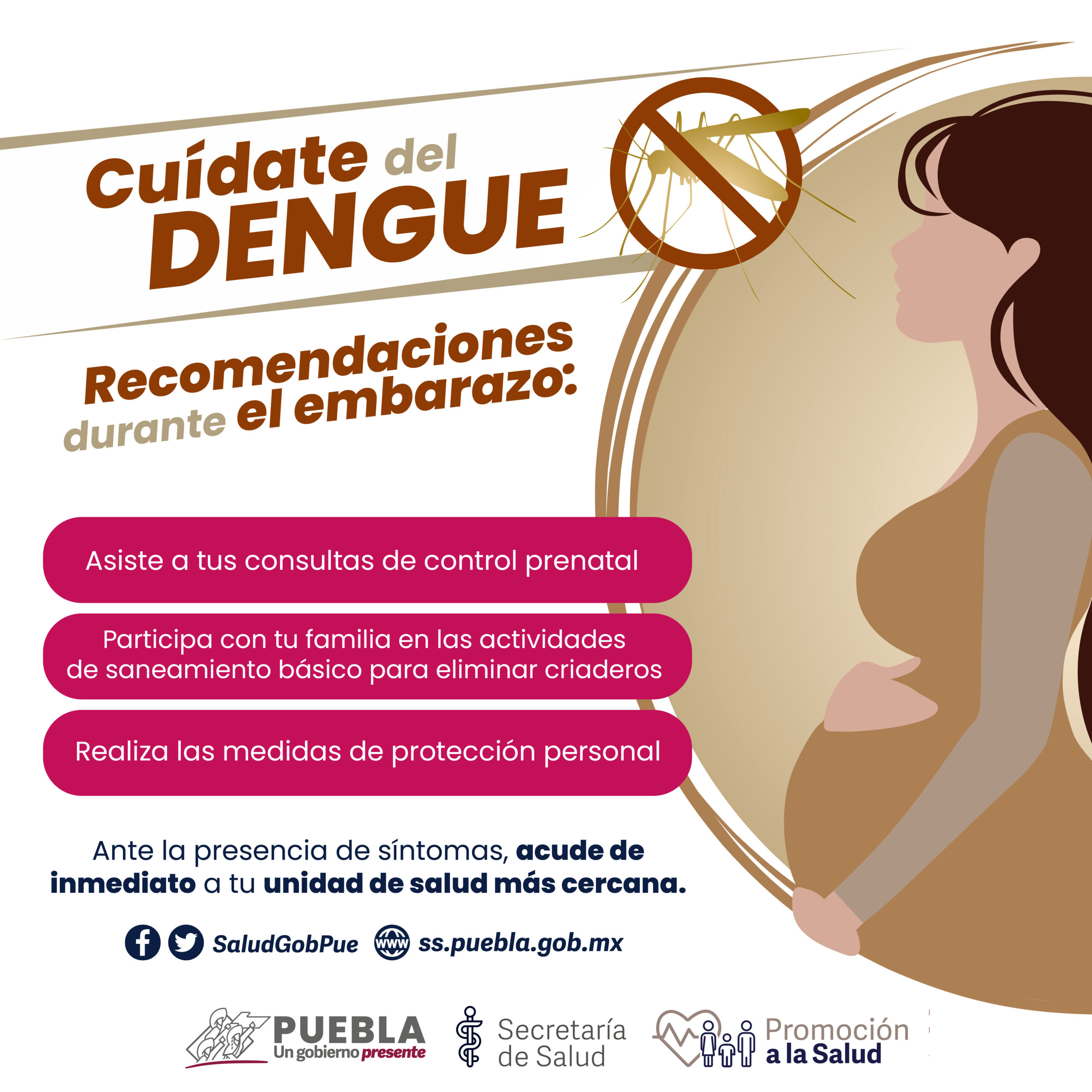 Registra Puebla 35 nuevos casos de dengue en últimas 24 horas