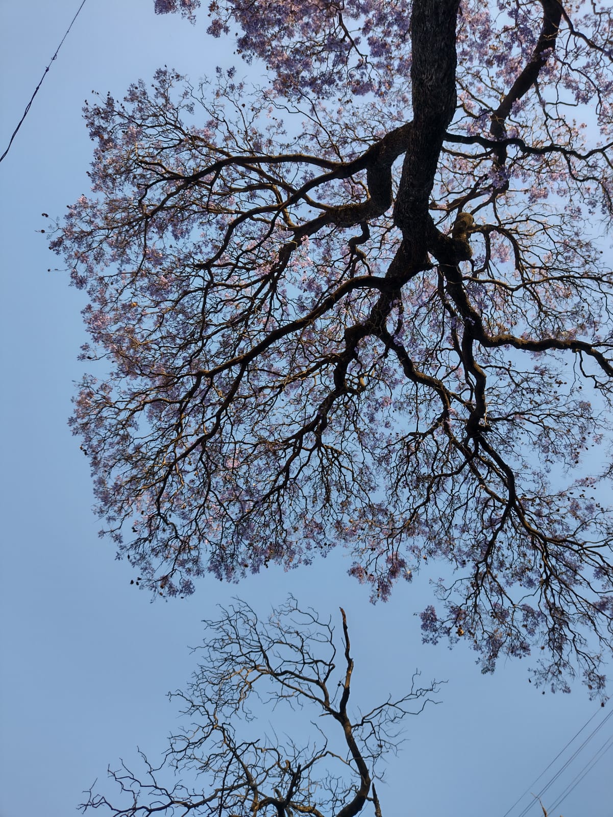 Zona metropolitana de Puebla reporta calidad del aire regular