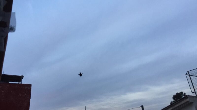 En zona metropolitana de Puebla no es satisfactoria la calidad del aire