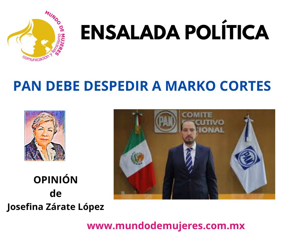 ¿Quién salvará a Acción Nacional?