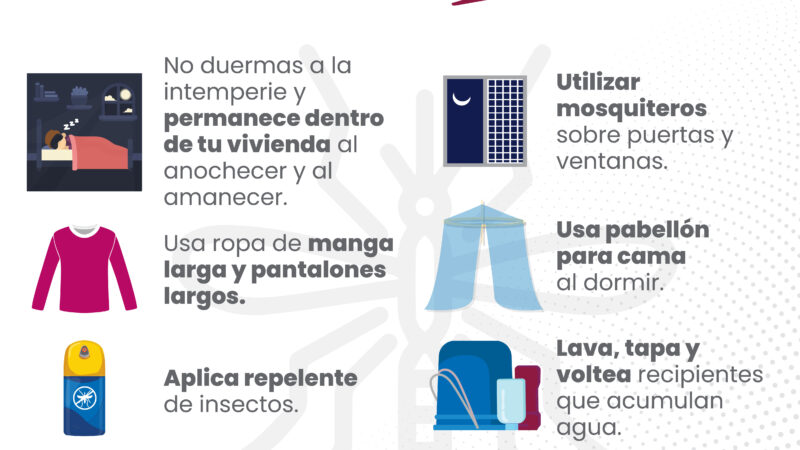Registra Puebla 12 nuevos contagios de dengue en las últimas 24 horas