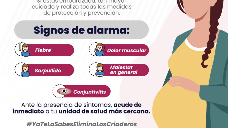 Puebla acumula mil 063 contagios por dengue en lo que va del año: Salud