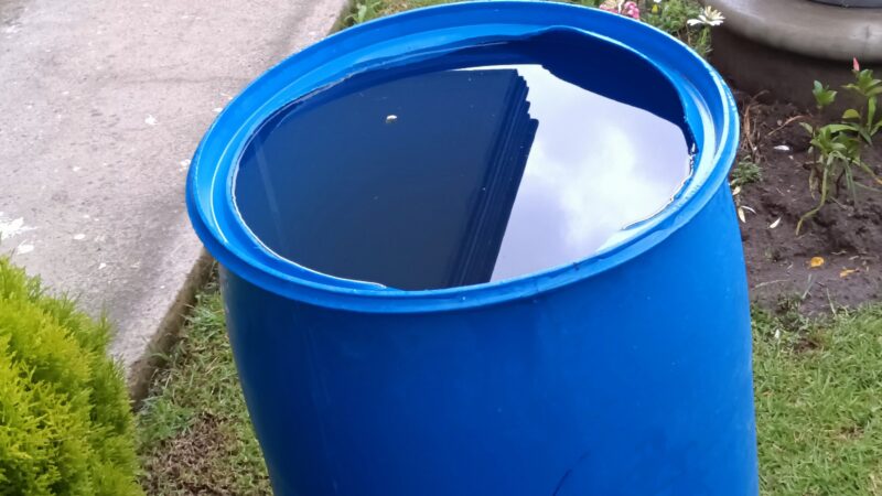 En 24 horas solo hubo cuatro hospitalizados por dengue: Salud