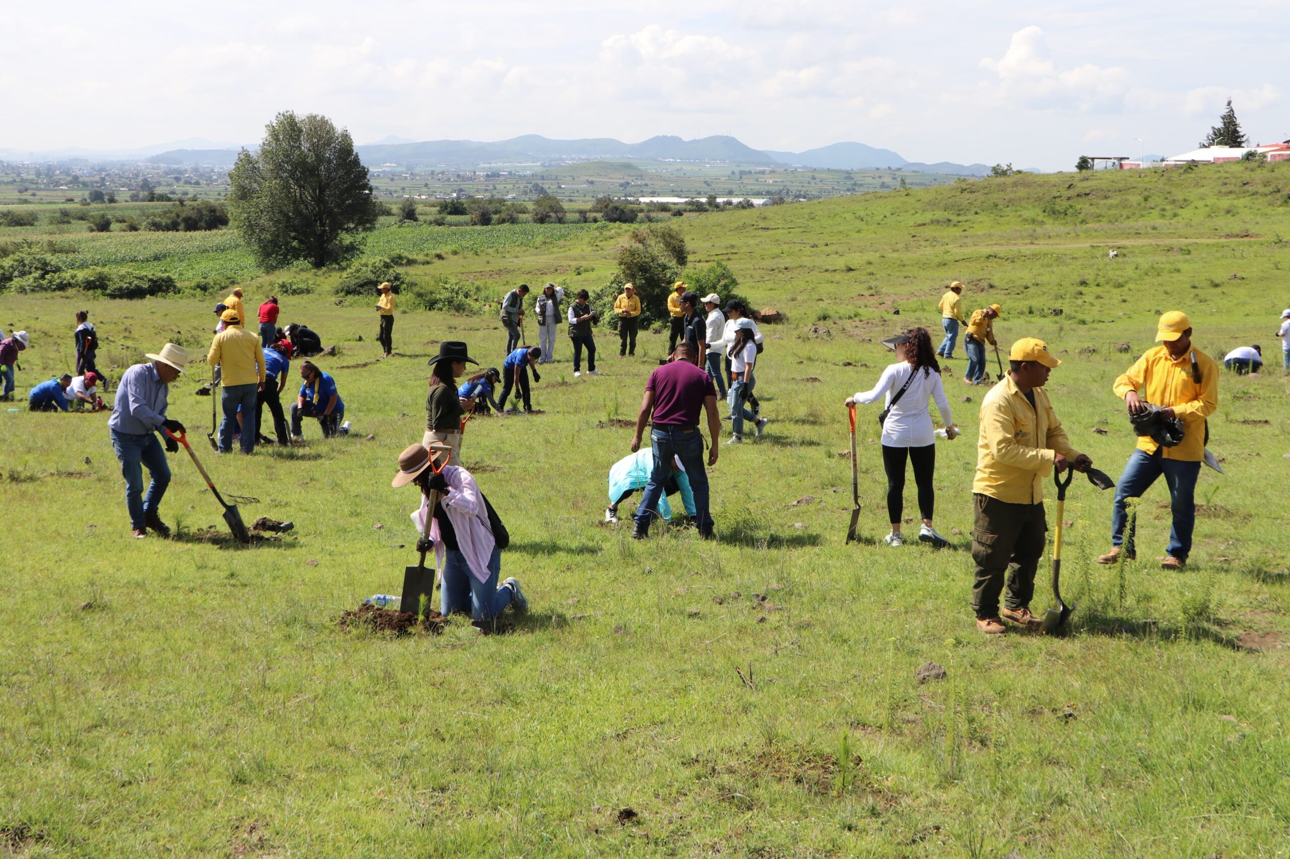 Valles Centrales de Puebla recibe más de 970 mil plantas para reforestar
