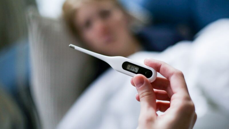 Registra Puebla presencia de dengue en 69 municipios: Salud