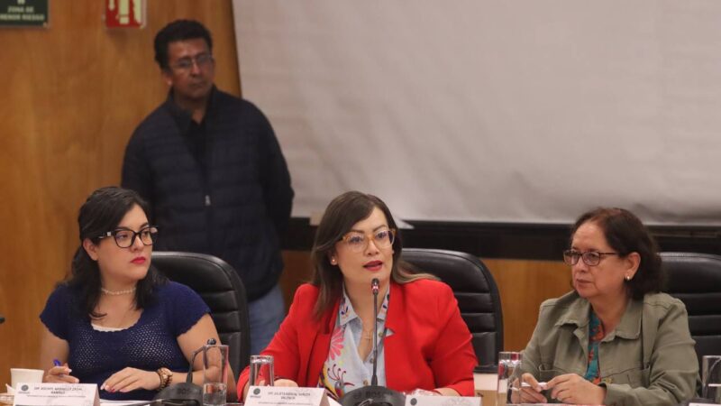 Con la extinción de organismos autónomos se pone fin a privilegios y derroche de recursos:  Julieta Vences Valencia