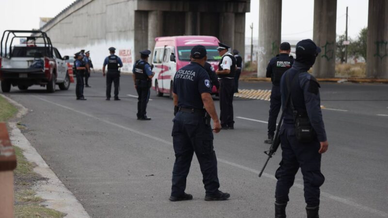 En los últimos días detuvo Policía Estatal a 91 personas