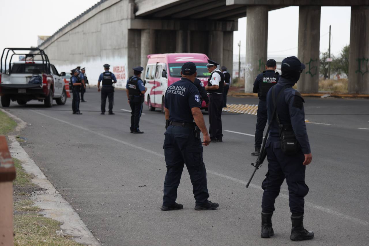 En los últimos días detuvo Policía Estatal a 91 personas