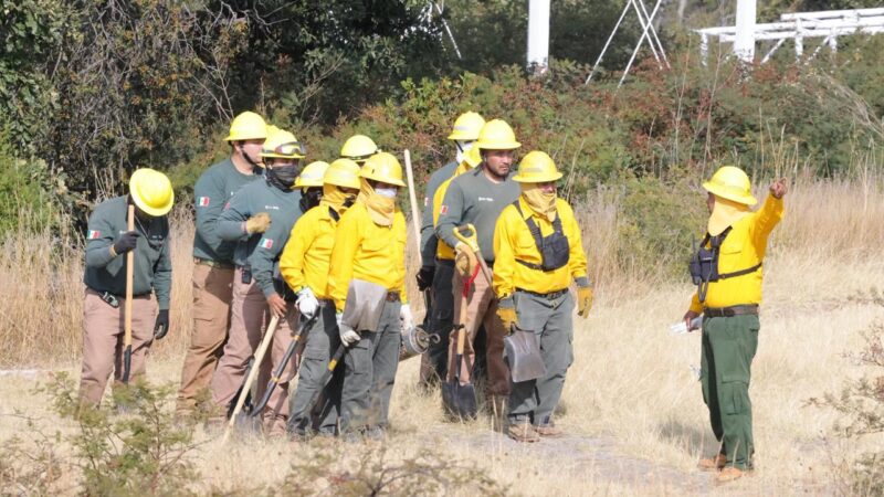 La meta de cero incendios continuará para salvar vidas y a los bosques