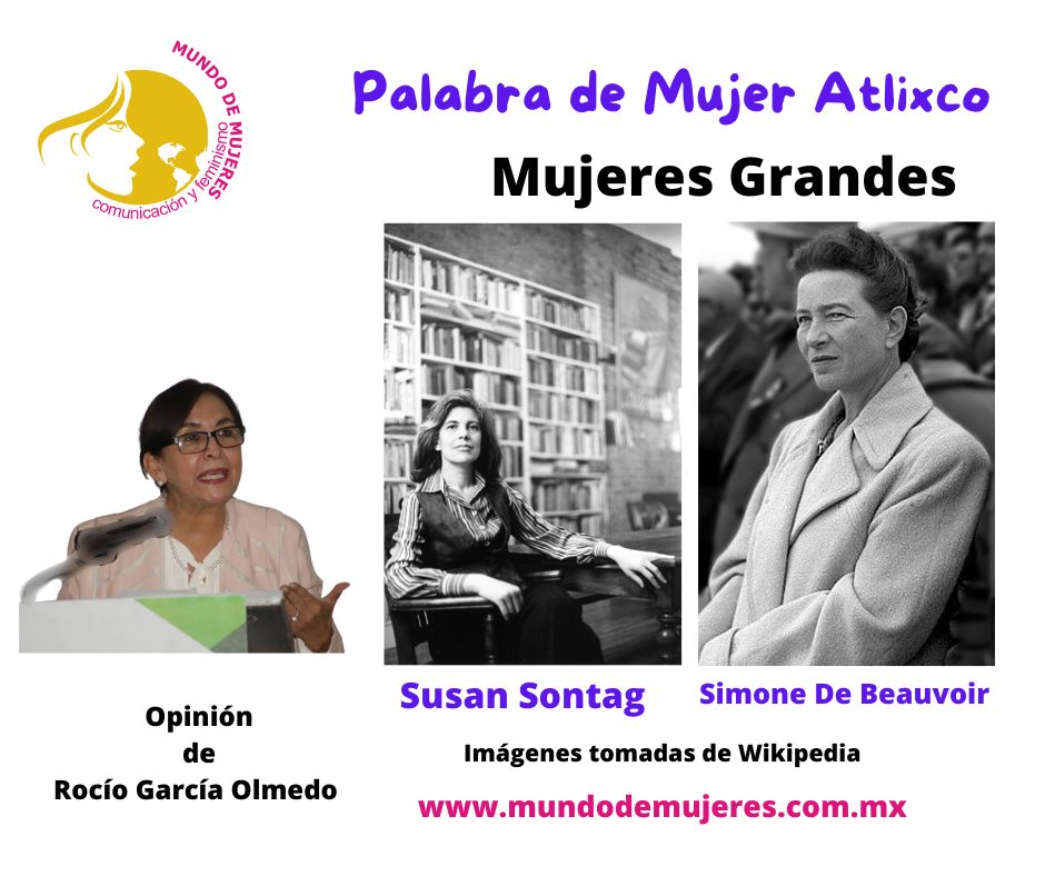 Opinión