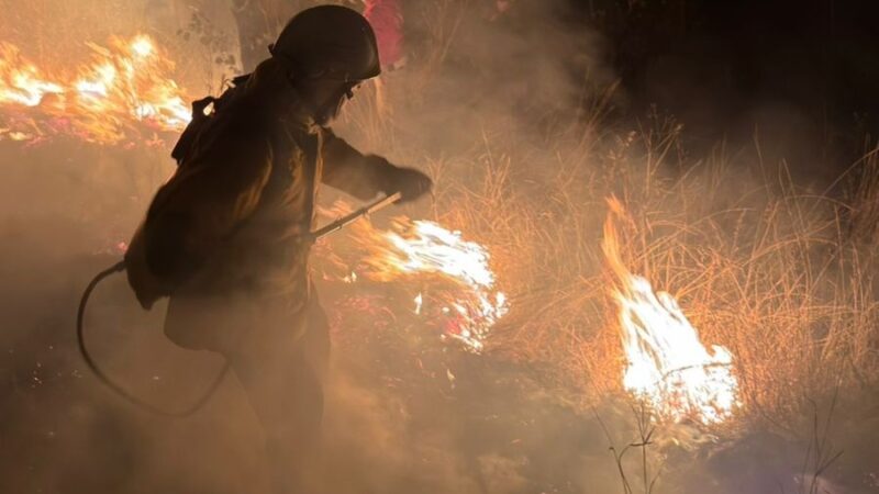 En Puebla han liquidado 88 incendios forestales