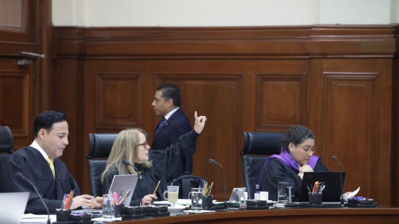 Un bebé que nace por gestación sustituta tiene derecho a la identidad: Loretta Ortiz