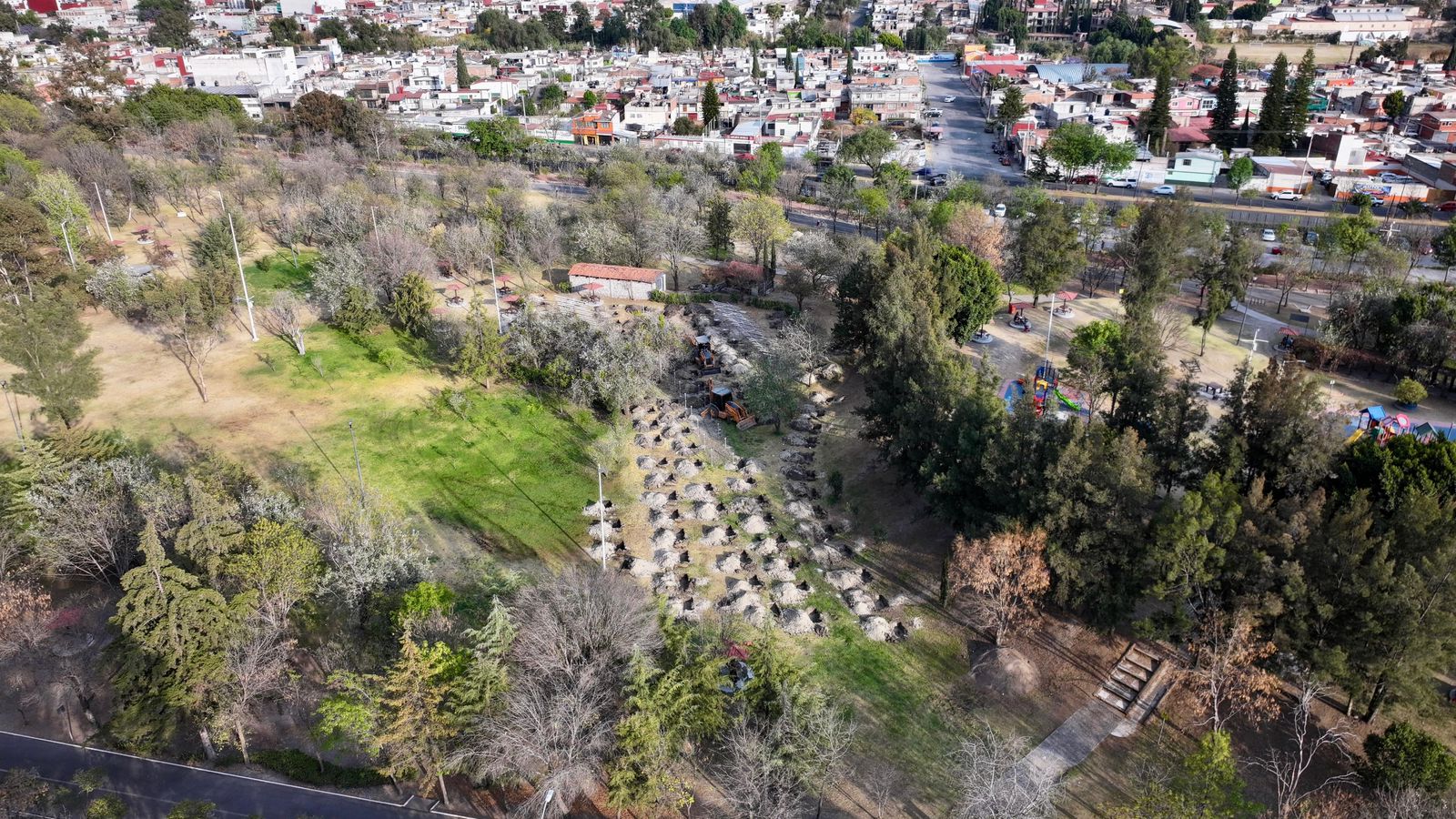 Árboles del Bosque Urbano de Puebla generarán agua, oxígeno y albergarán vida