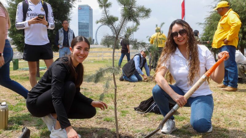 Ambientalistas fortalecen bosque urbano del CIS