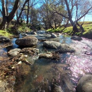 Con inversión histórica, regresan la vida al río Atoyac gobierno federal y estatal