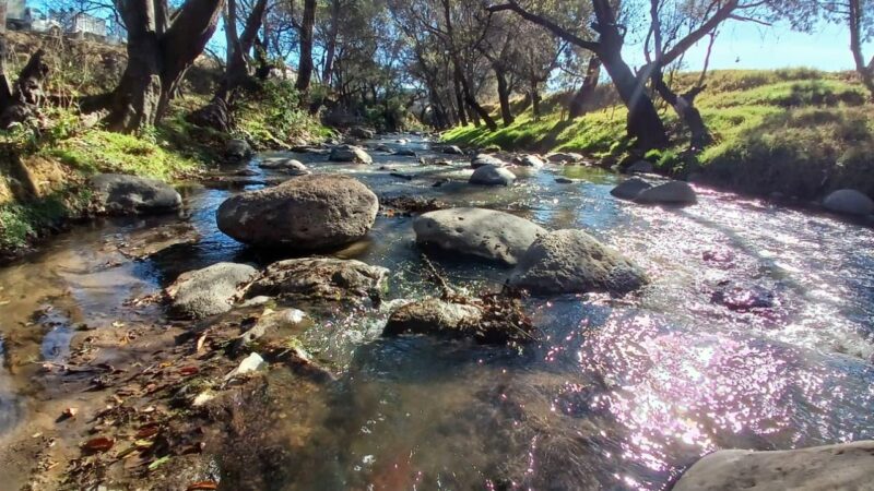 Con inversión histórica, regresan la vida al río Atoyac gobierno federal y estatal