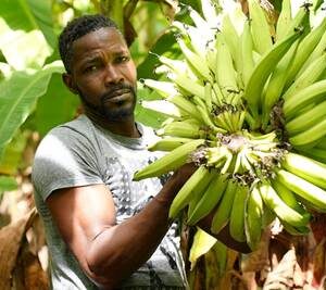 América Latina y el Caribe con lento crecimiento económico