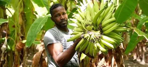 América Latina y el Caribe con lento crecimiento económico