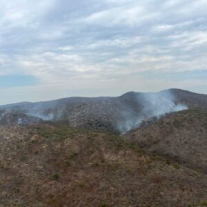 Despliega Policía Forestal operativo aire-tierra para contener incendio forestal en Cohetzala