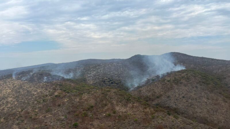 Despliega Policía Forestal operativo aire-tierra para contener incendio forestal en Cohetzala