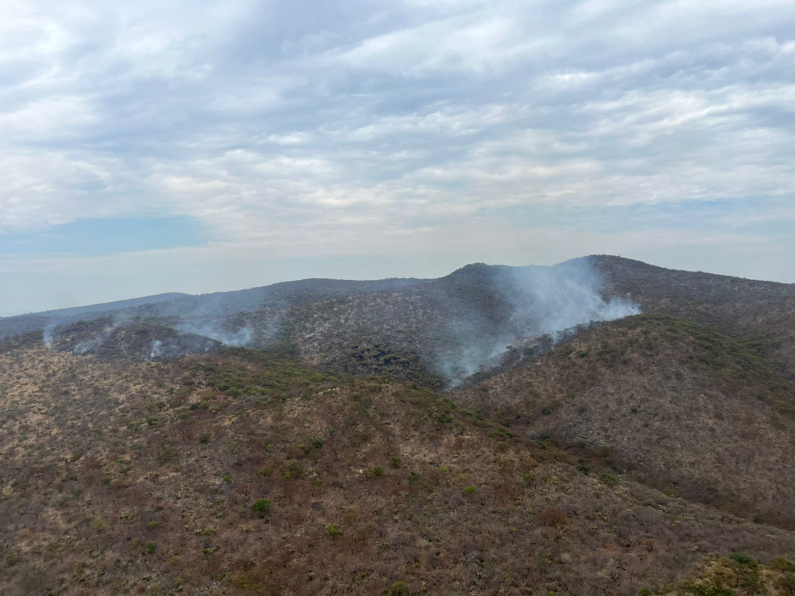 Despliega Policía Forestal operativo aire-tierra para contener incendio forestal en Cohetzala
