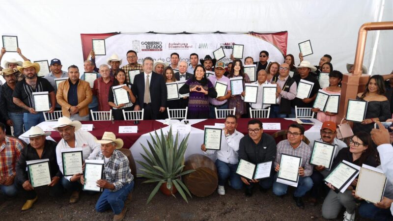 Puebla consolida liderazgo nacional en producción de mezcal con 91 medallas