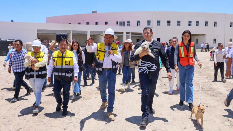 En Puebla centro pionero para protección de seres sintientes