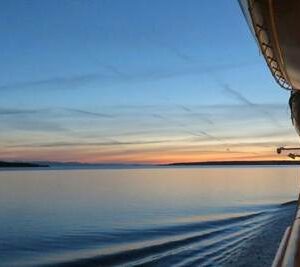 OMS: El brote de Hantavirus en un crucero es un “evento grave pero contenido”