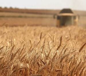 Sube el costo de los alimentos por la crisis energética y tensiones en Oriente Medio