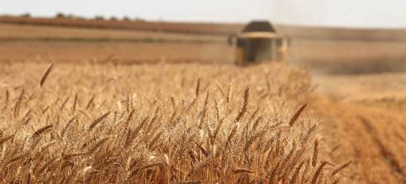 Sube el costo de los alimentos por la crisis energética y tensiones en Oriente Medio