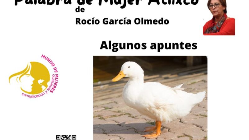 Opinión