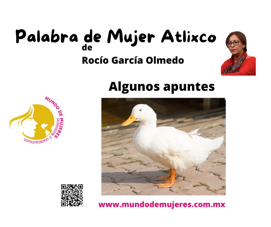 Opinión
