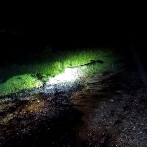 PEMEX y Protección Civil brindan atención inmediata a derrame de hidrocarburo en Venustiano Carranza