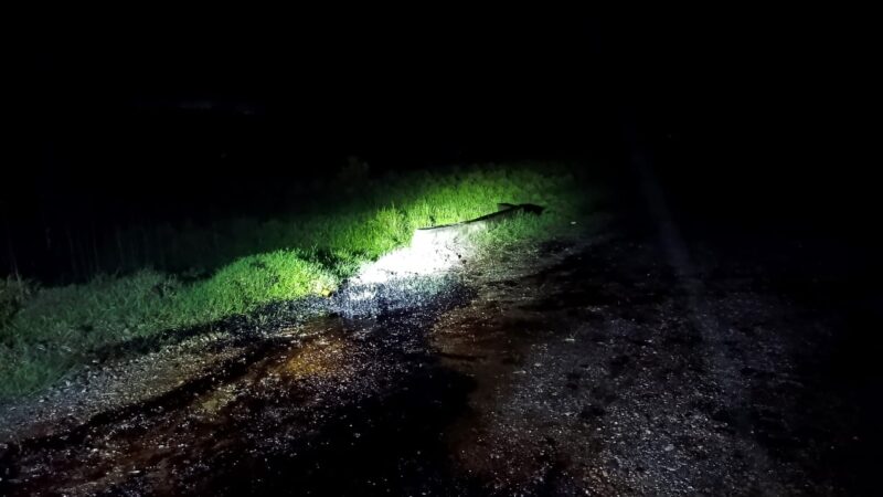 PEMEX y Protección Civil brindan atención inmediata a derrame de hidrocarburo en Venustiano Carranza