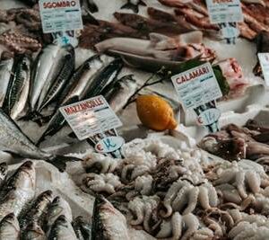 Uno de cada cinco peces capturados proviene de la pesca ilegal