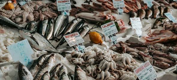 Uno de cada cinco peces capturados proviene de la pesca ilegal